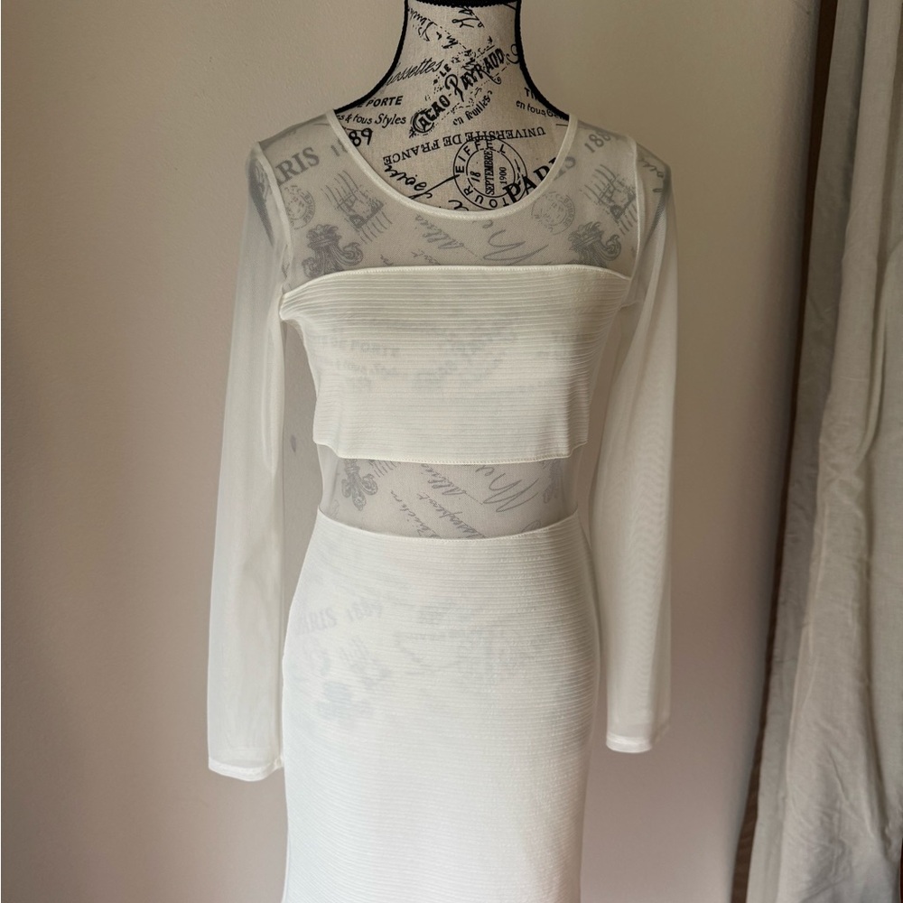 Elegant Painted Threads White Sheer Sleeve Dress